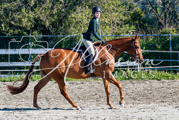 AllusionImages-750