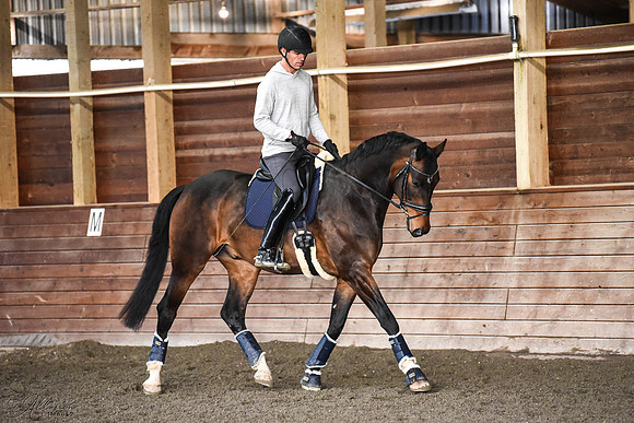 AP7_6096-watermarked