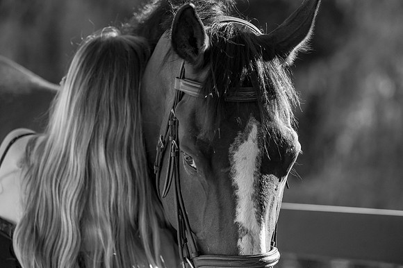 AllusionImages-9802