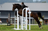 LIC_2355-watermarked