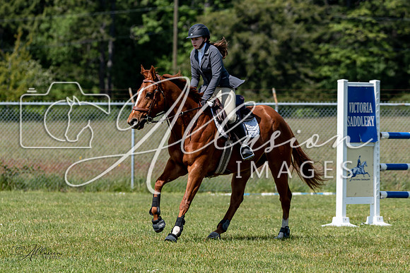 AllusionImages-1924