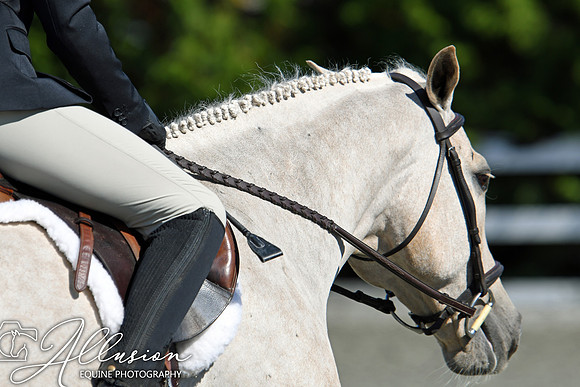 AEP_3268-watermarked