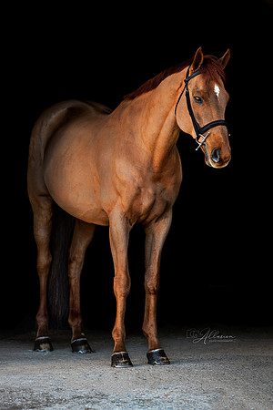 AP7_0662.sm