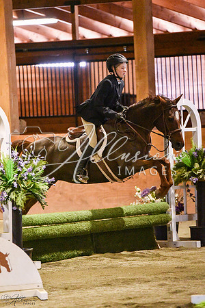 AP7_4354-watermarked