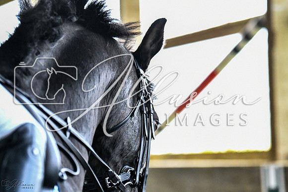 AP5_4936-watermarked