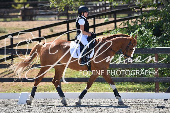 DSC_0051-watermarked